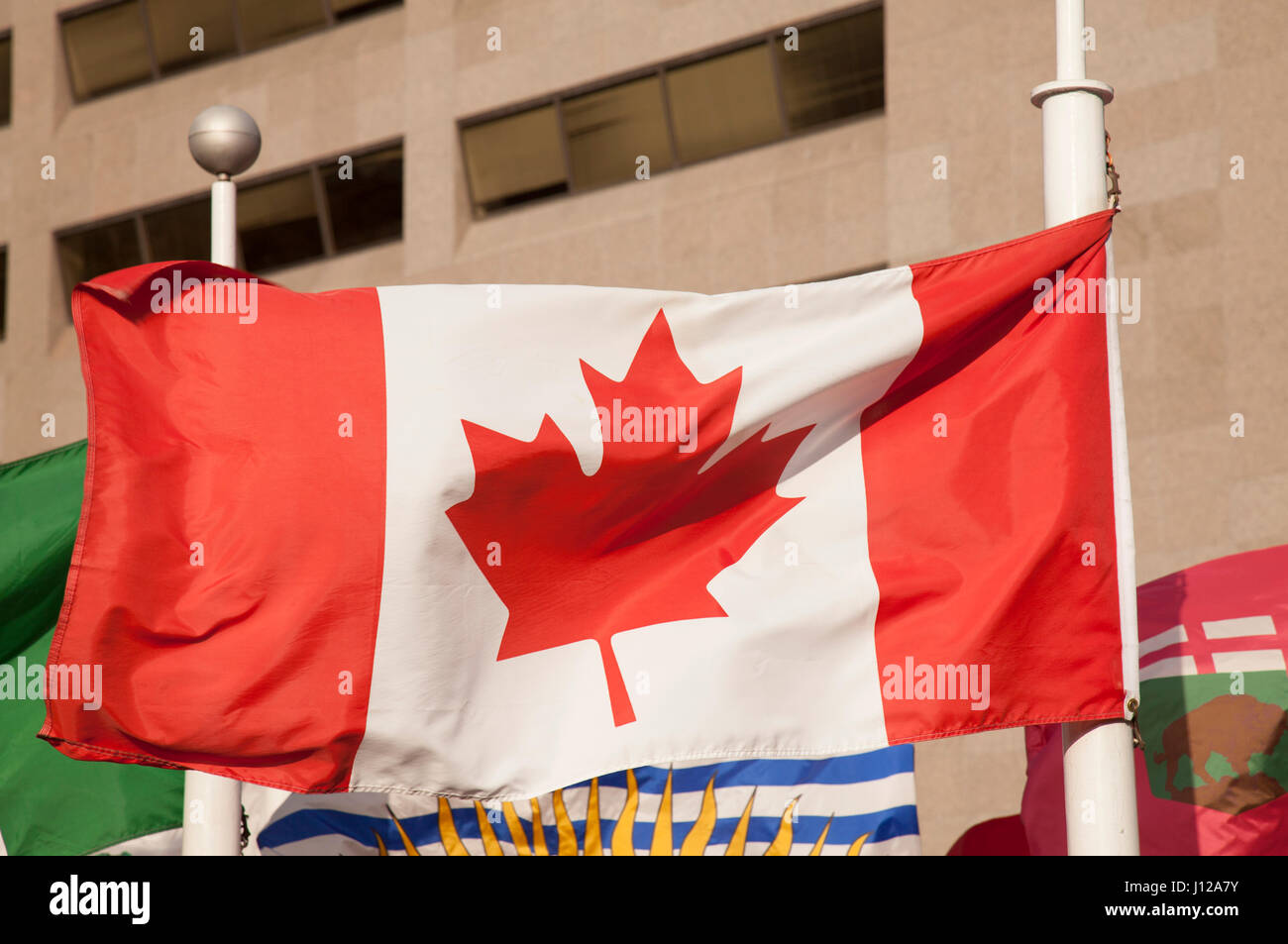 Kanadische Flagge Innenstadt von Toronto Stockfoto