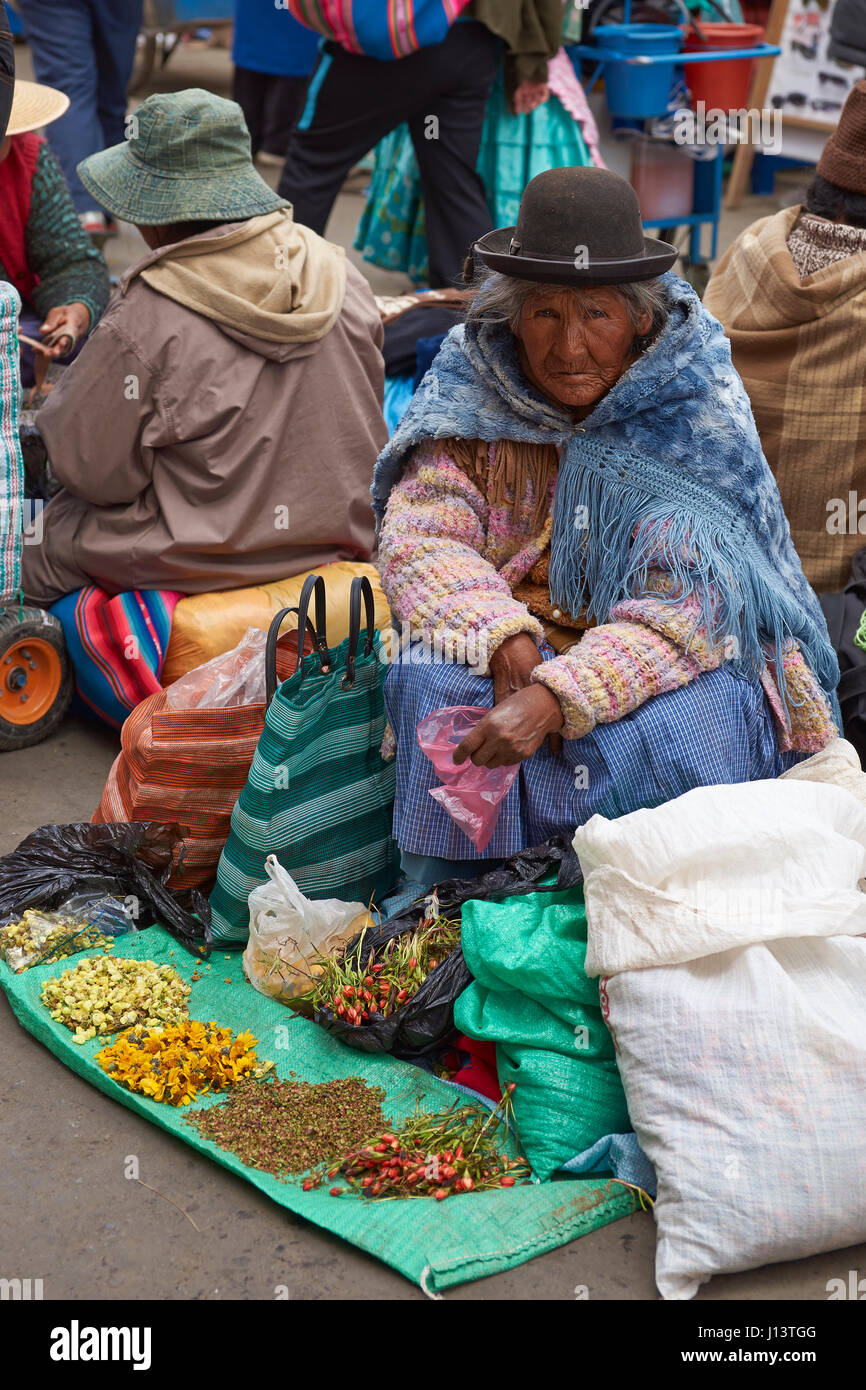 Ältere Dame in Melone Blütenköpfe auf einem Straßenmarkt in der Bergbau-Stadt Oruro auf dem Altiplano in Bolivien zu verkaufen. Stockfoto