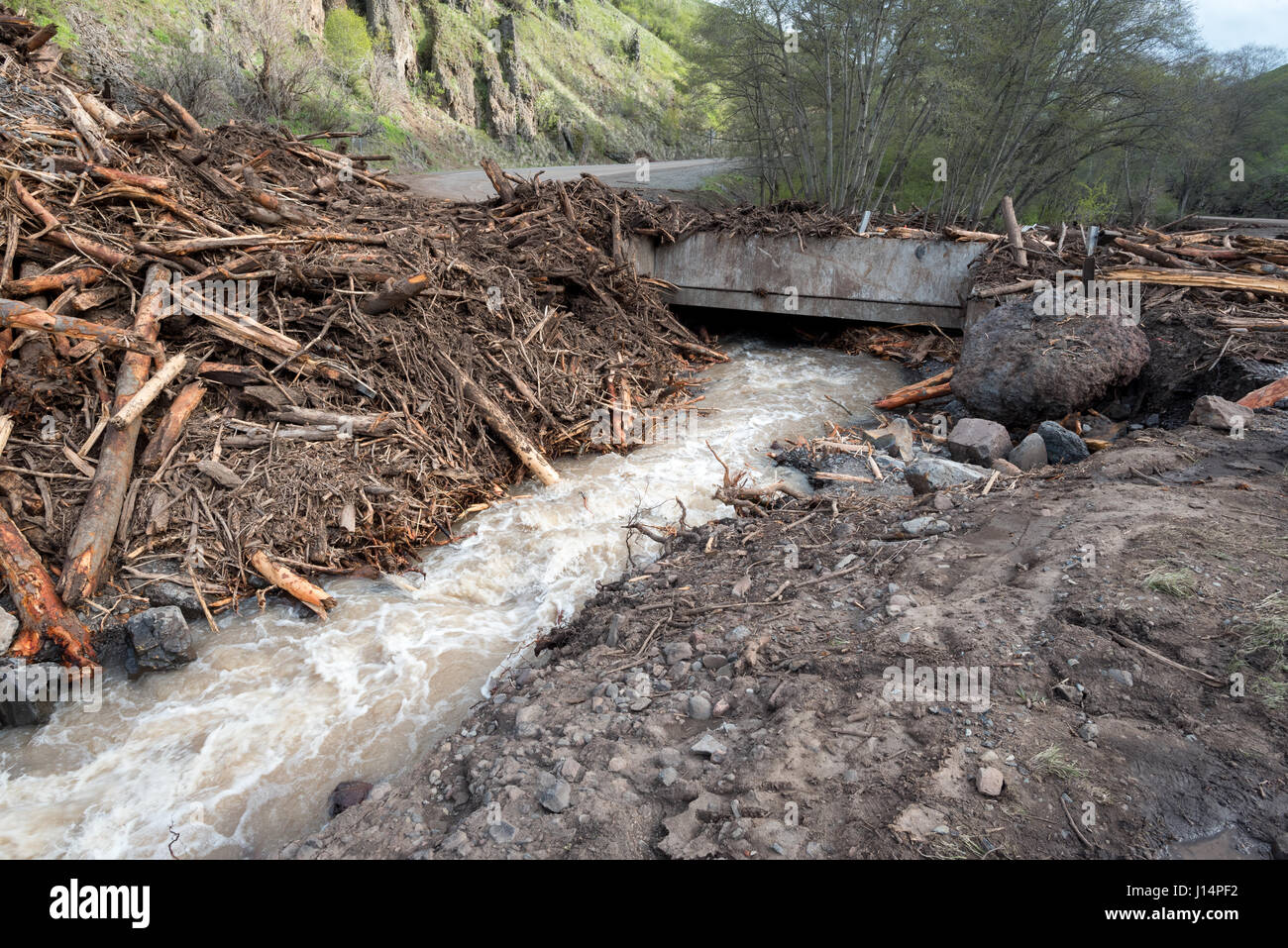 Ansicht der Sturzflut Trümmer auf der Hwy.129-Brücke über den Rattlesnake Creek in S.W. Washington.  Die Flut wurde durch den Ausfall von einem Bauernhof Teich Damm verursacht. Stockfoto