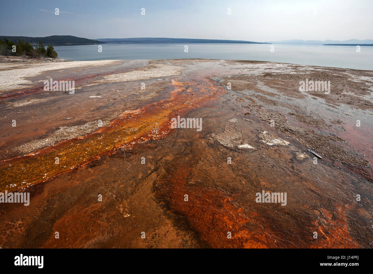 Mineralische Ablagerungen in den West Thumb Geyser Basin, Yellowstone Lake, Yellowstone-Nationalpark, Wyoming, USA Stockfoto