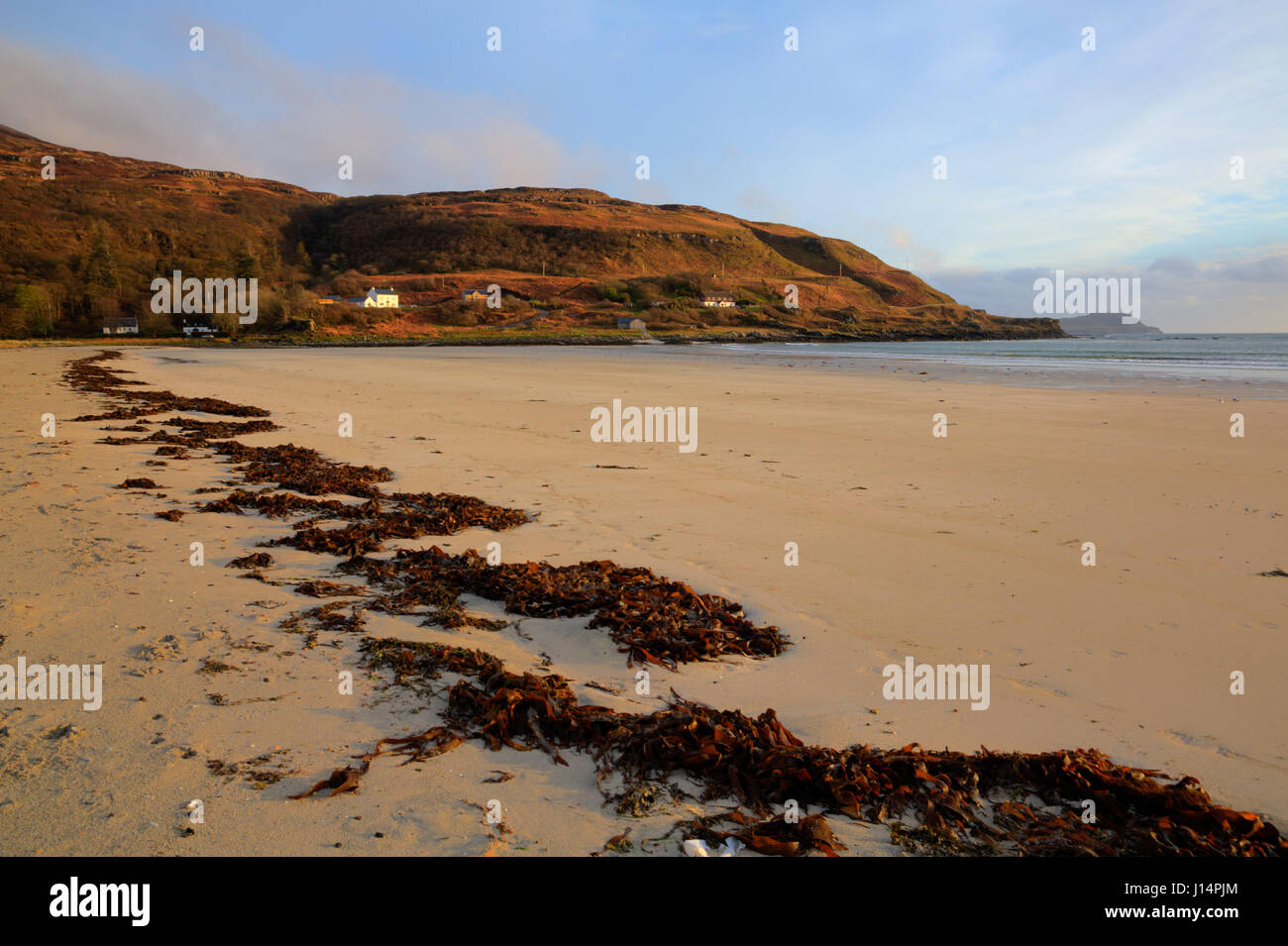 Calgary Bay weißen Sandstrand Isle of Mull Schottland, Vereinigtes Königreich Stockfoto