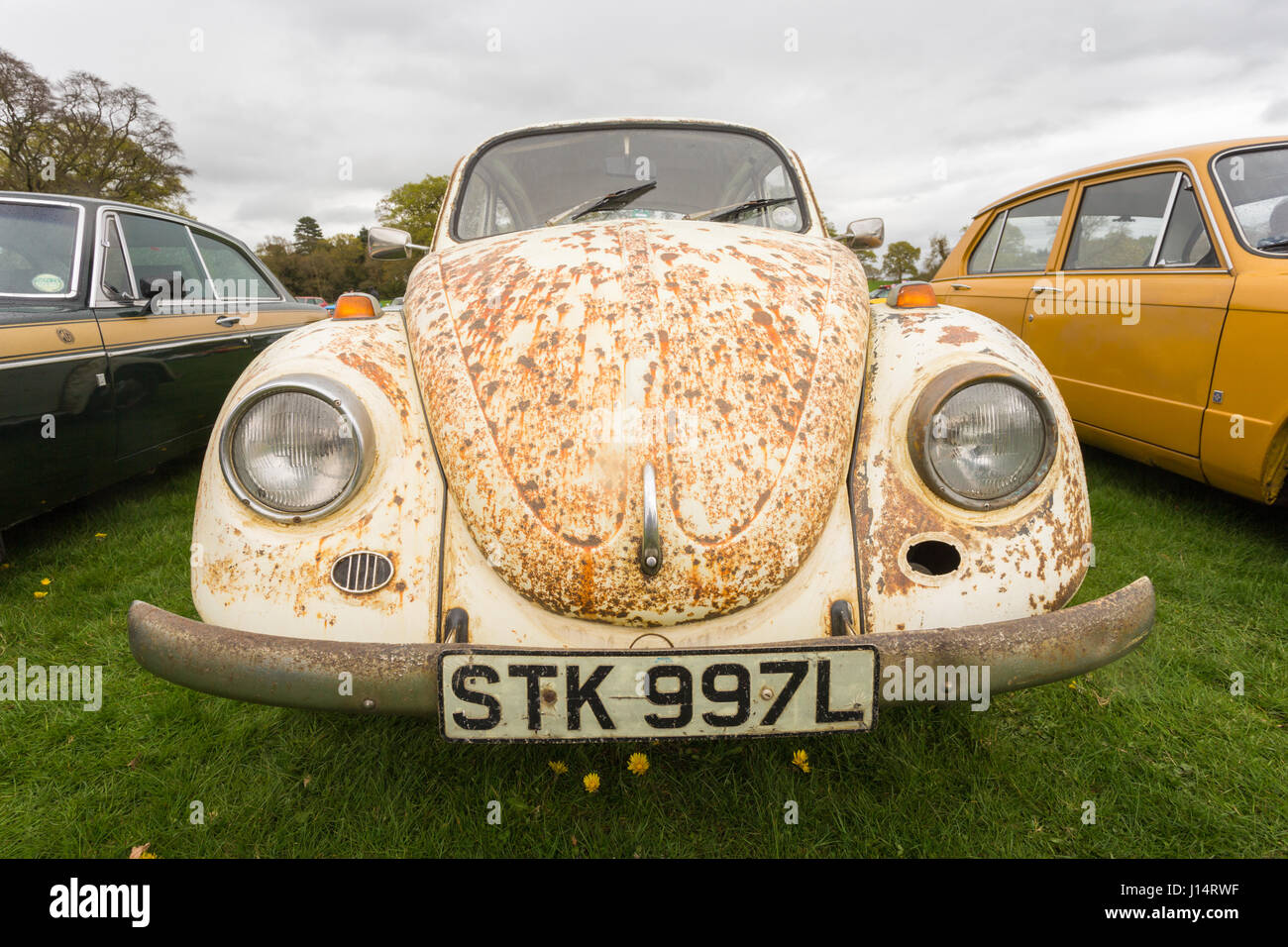 VW Volkswagen Käfer mit Sever malen Corrosionon Karosserie Stockfoto