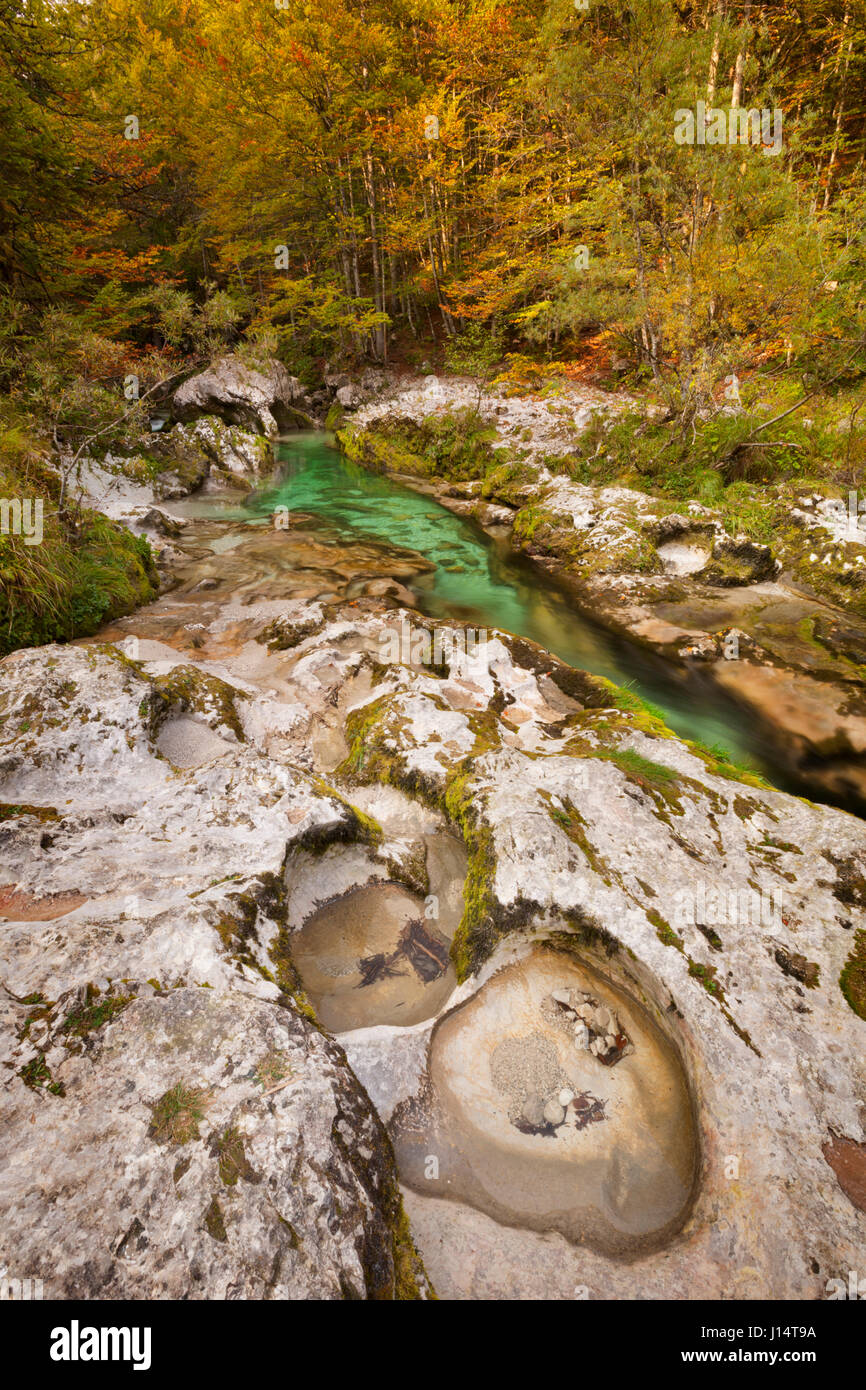 Herbstfarben in der schönen Mostnica Schlucht in Slowenien. Stockfoto