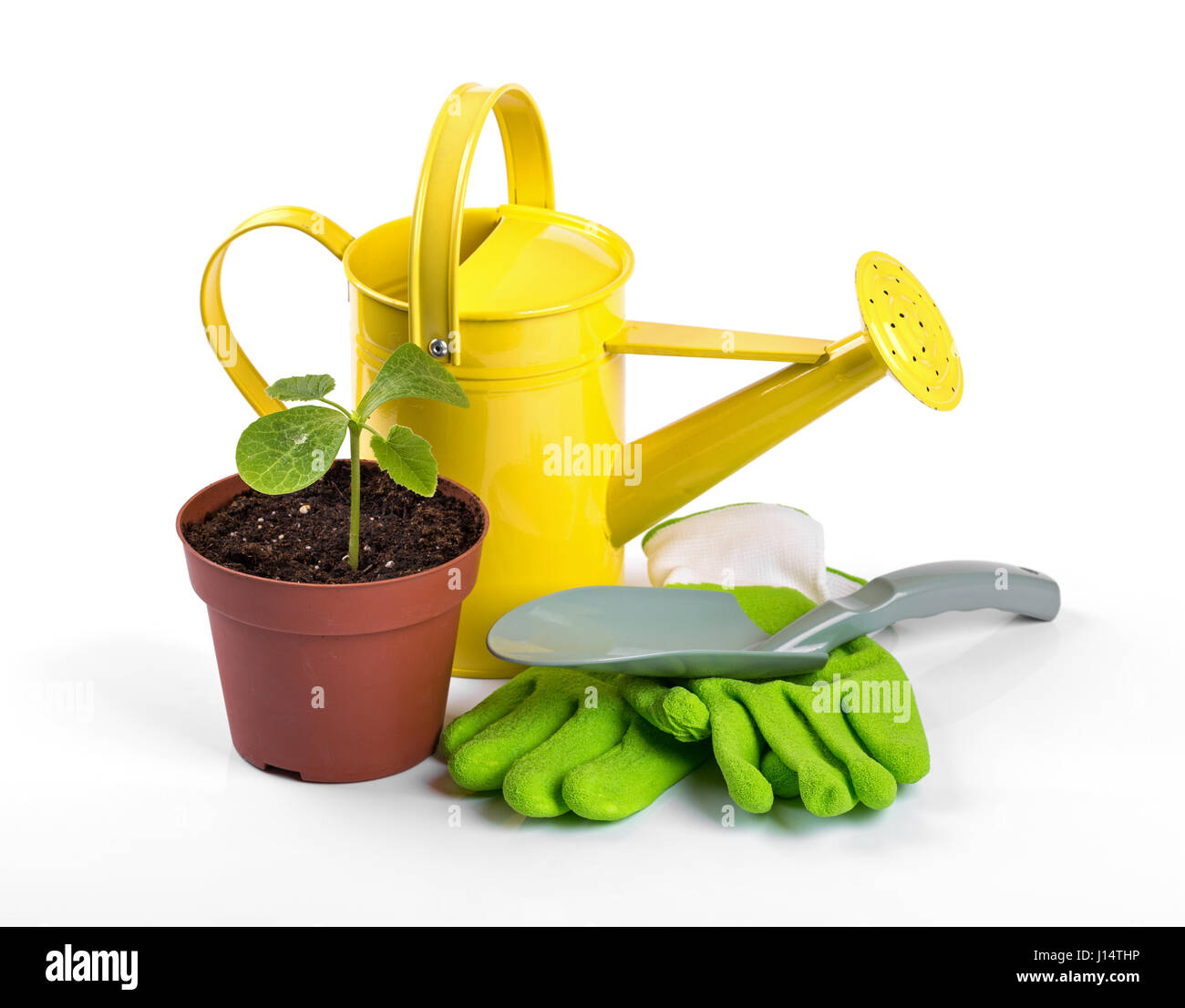 Gartengeräte und Topfpflanze isoliert auf weißem Hintergrund Stockfoto
