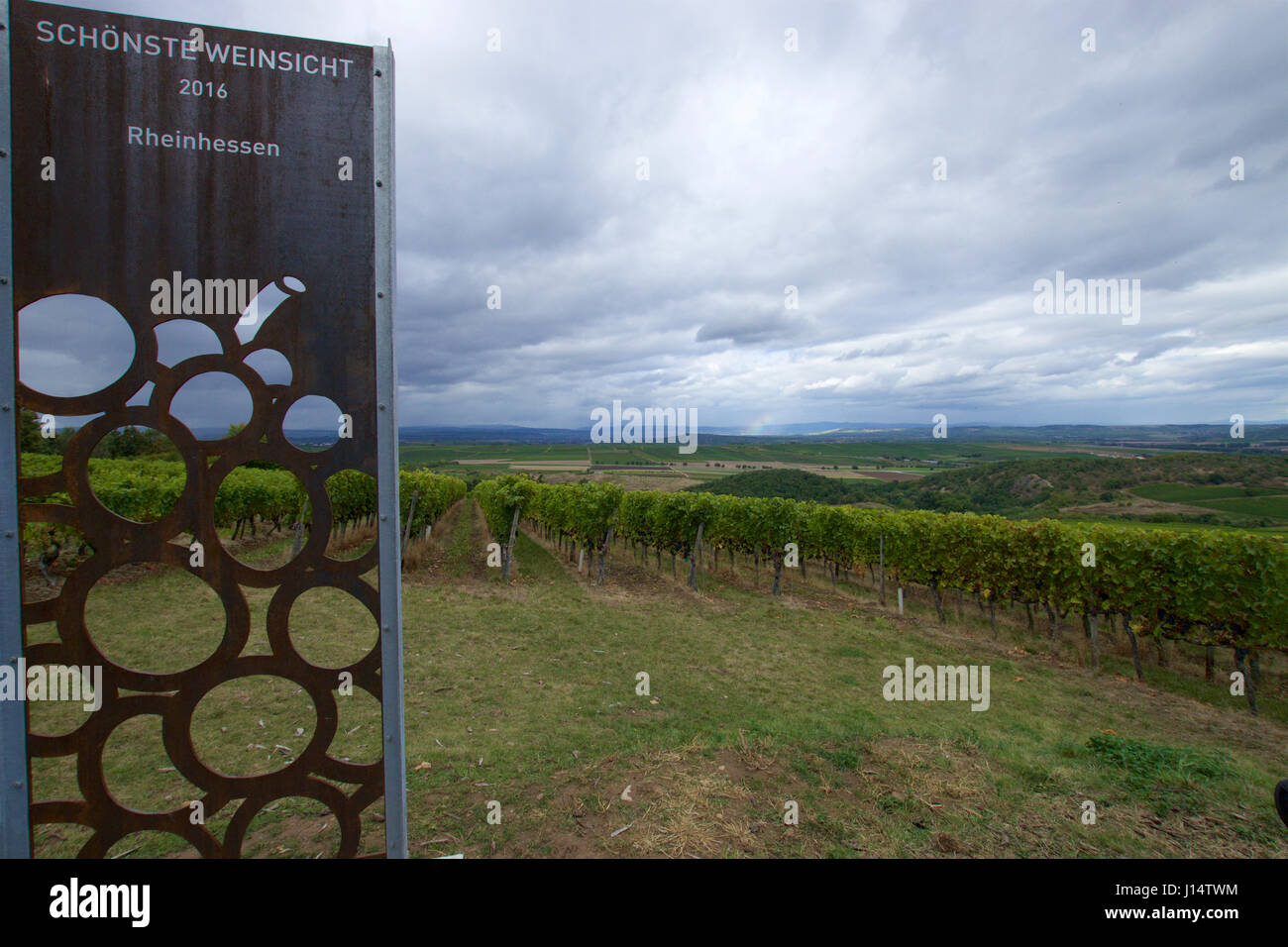 Aussichtspunkt am Hiwweltour Heideblick sagen den schönsten Blick auf Weinberge in der Region Rheinhessen Stockfoto