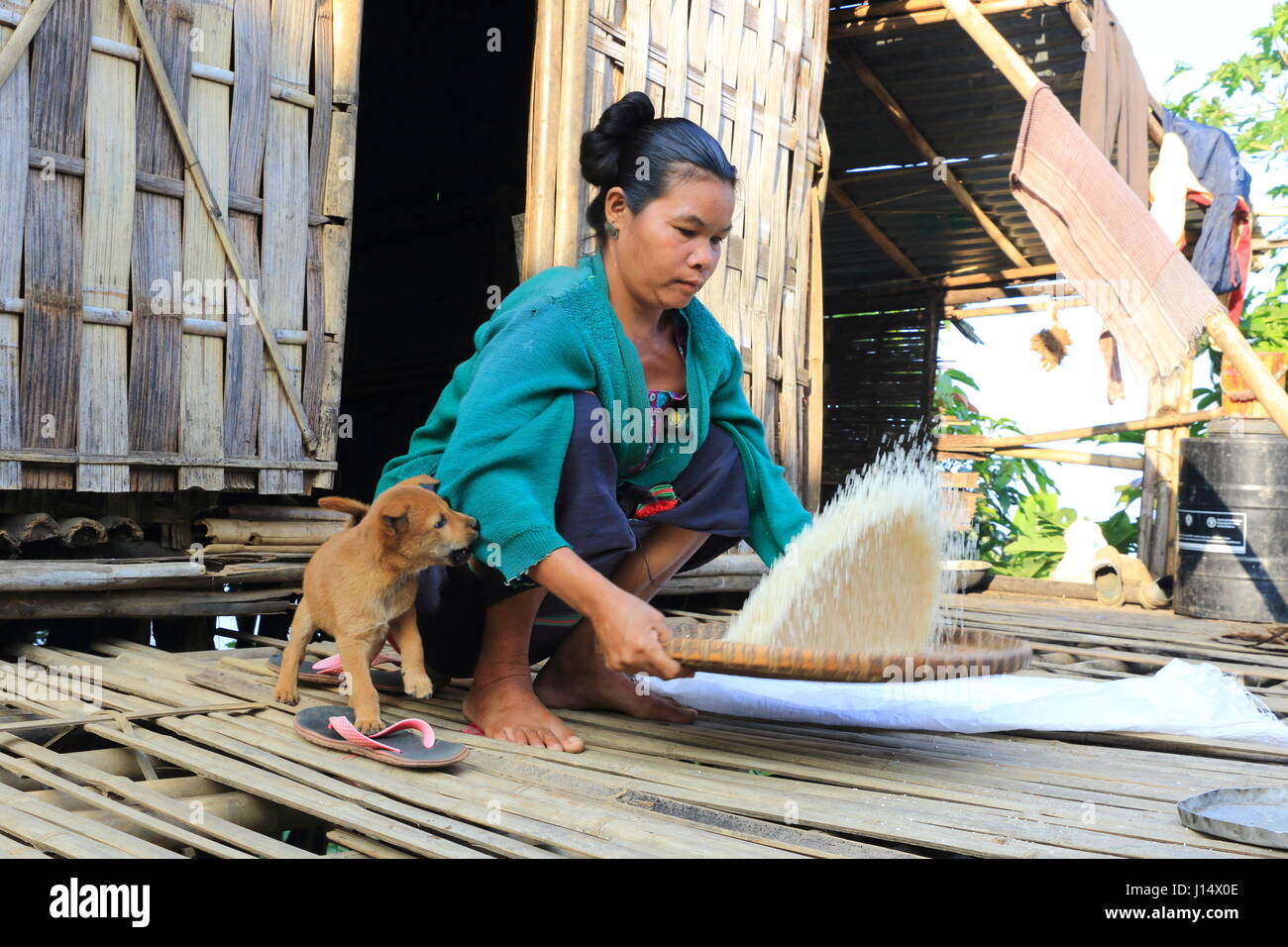 Eine Frau aus der Tripura Tipra ethnische Gemeinschaft schälen Reis vor ihrer Hütte in der Nähe von Sajek Tal in Rangamati, Bangladesch Stockfoto