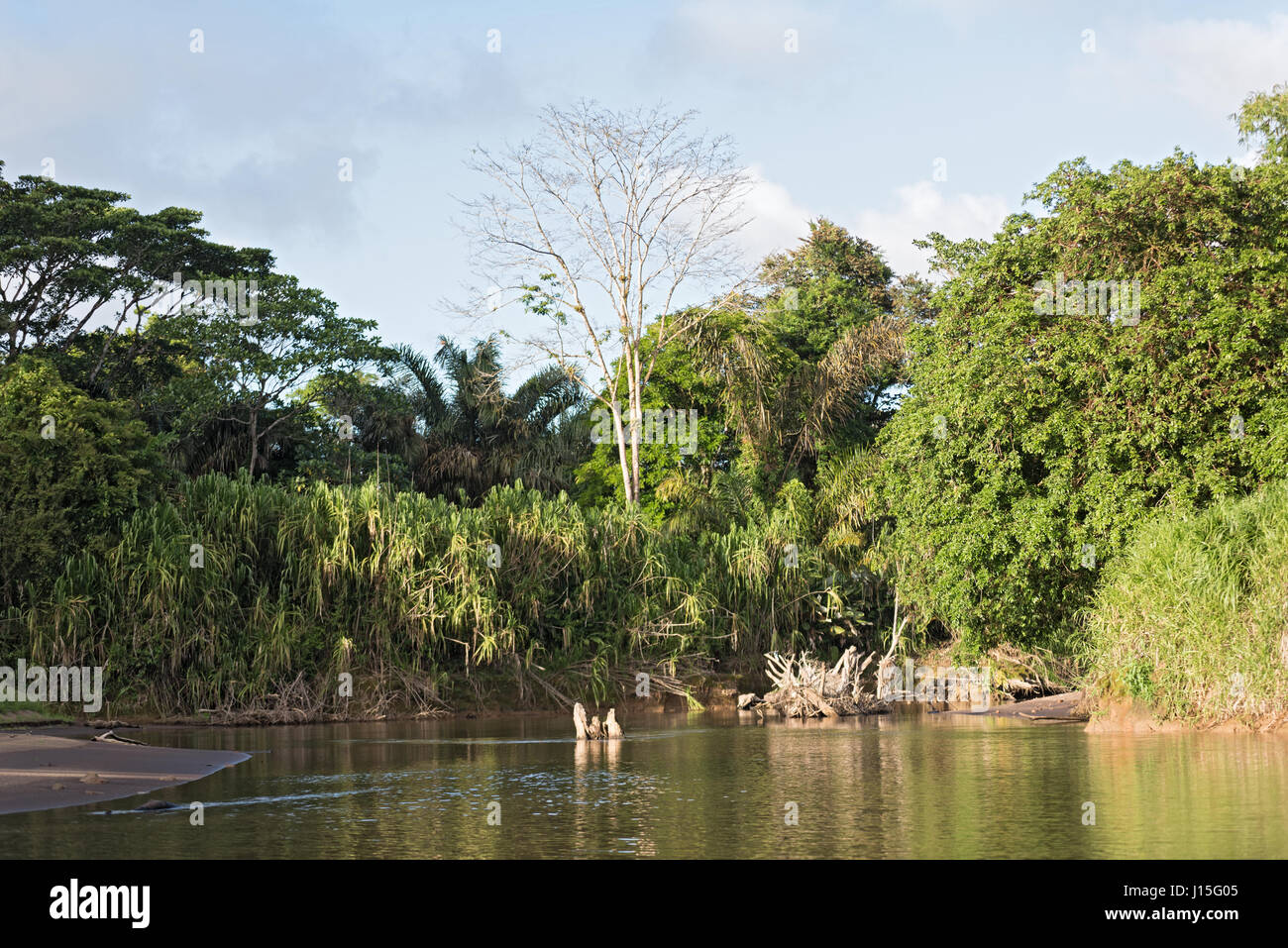 Der Tortuguero-Fluss im Nordwesten von Costa Rica Stockfoto