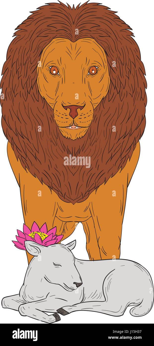Zeichnung Skizze Stil Darstellung eines stehenden Löwen über Lamm mit Lotusblüte auf den Kopf betrachtet von vorne am isolierten weißen Hintergrund. Stock Vektor