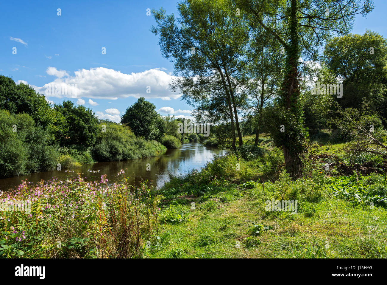 Der Fluss Severn in der Nähe von Bridgnorth, Shropshire, England, UK. Stockfoto