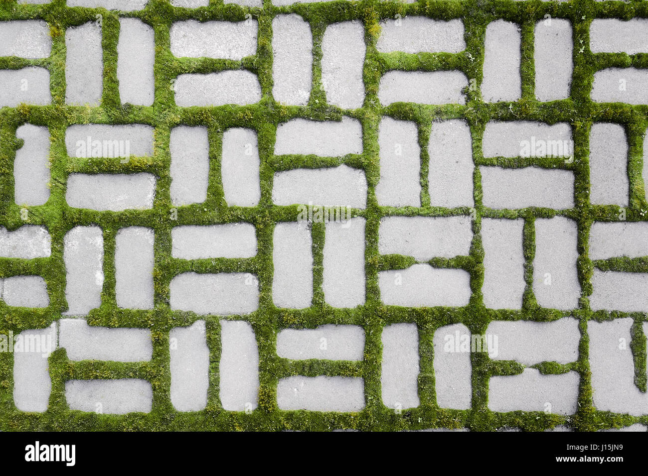 Closeup Pflaster Platten Muster mit einem Auswuchs grass Stockfoto