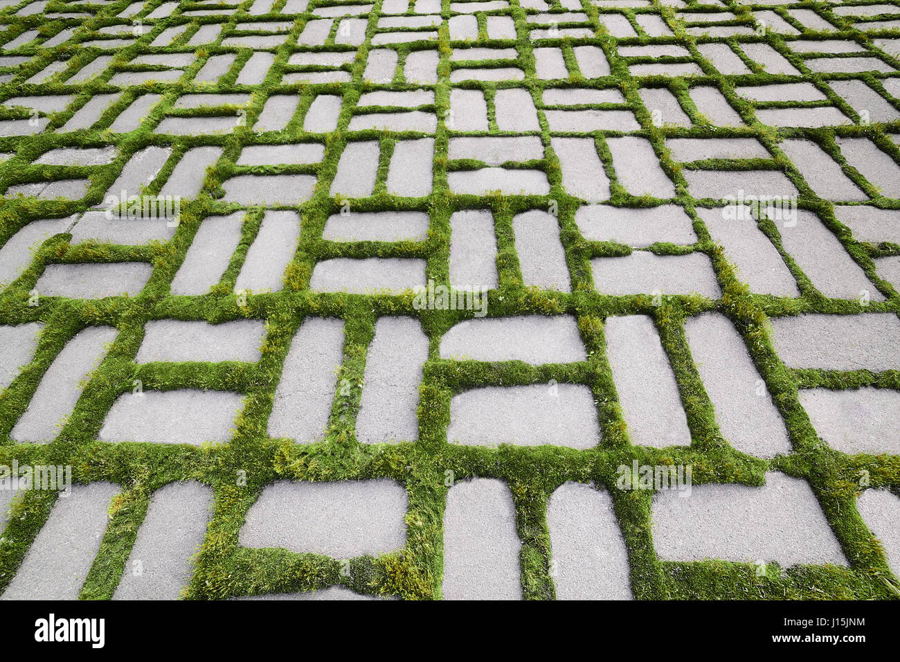 Closeup Pflaster Platten Muster mit einem Auswuchs grass Stockfoto