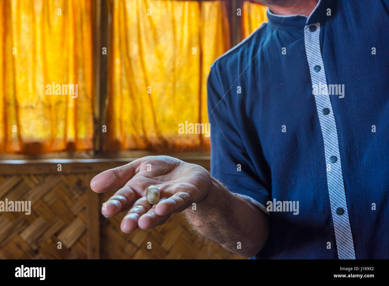 Mann mit Seidenfaden aus einem Kokon Seidenraupe in eine Seidenfabrik Stockfoto