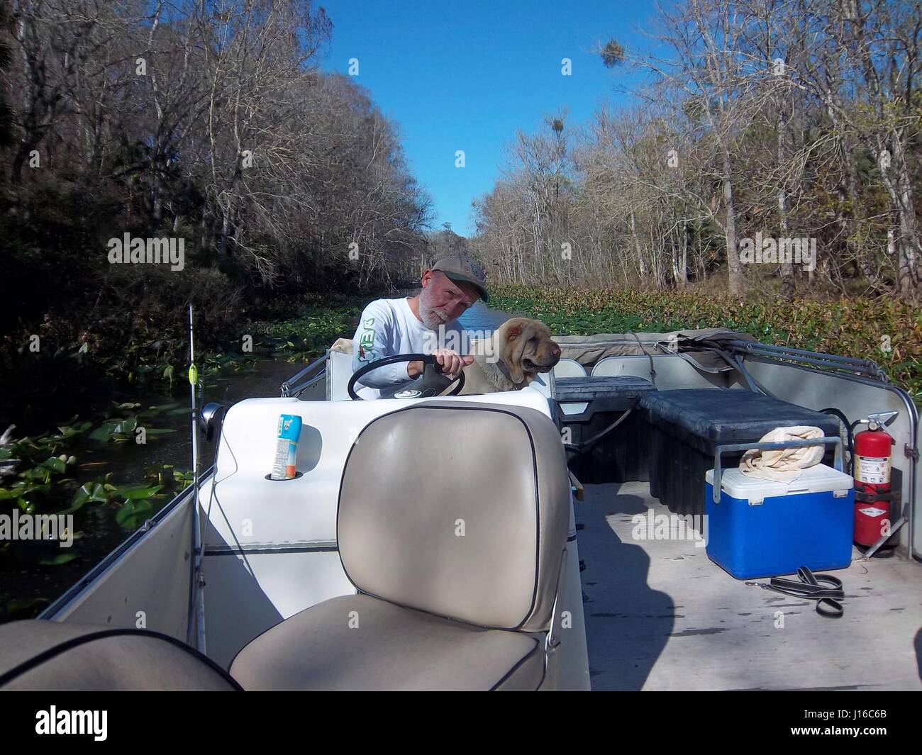 MONKEY MANIA Stockfoto