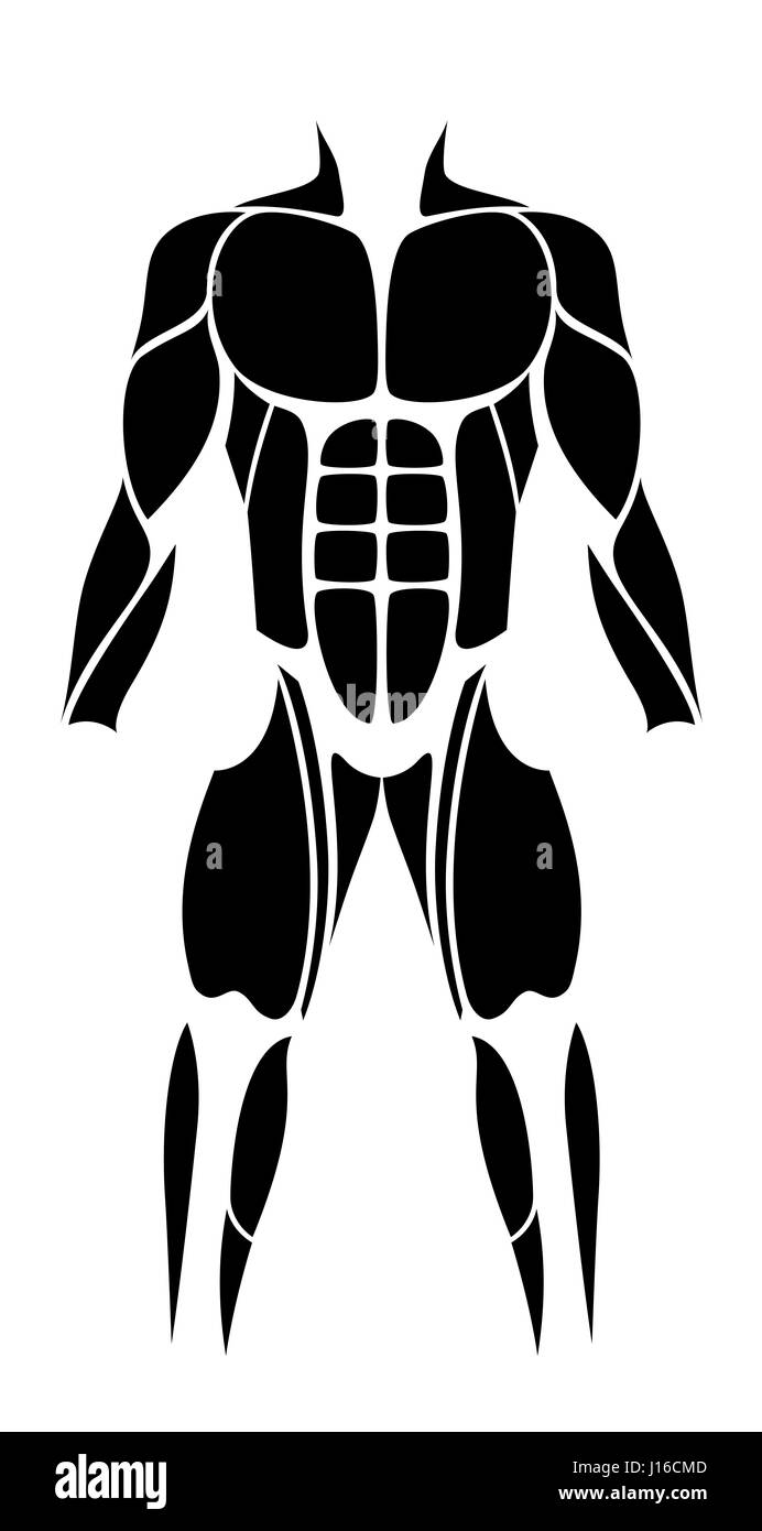 Muskeln - abstrakte schwarze Figur oder das Symbol der größten menschlichen Muskeln - isolierte Vektor-Illustration auf weißem Hintergrund. Stockfoto