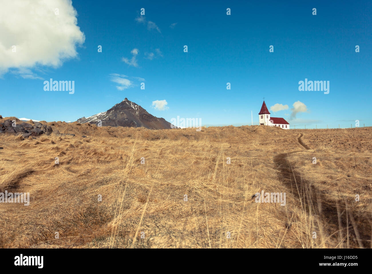 Die weiße Kirche liegt auf einem Hügel in einem goldenen Feld gegenüber einem Berg. Hellnar, Halbinsel Snæfellsnes (Snaefellsnes), West-Island Stockfoto