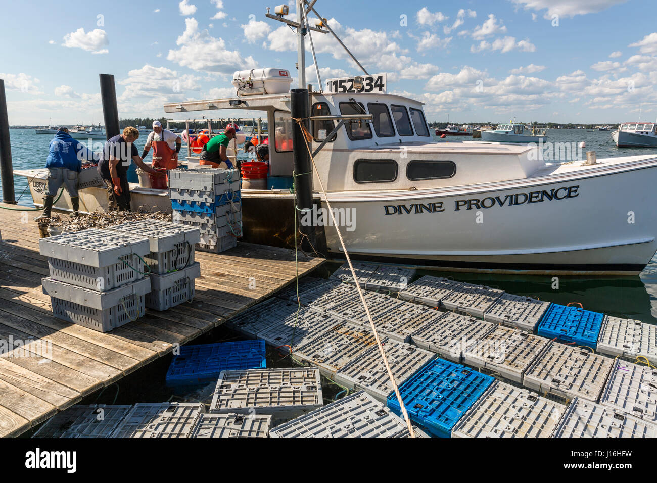 Crew laden die Hummer-Behälter auf dem Schiff am Dock In Beals, Maine Stockfoto