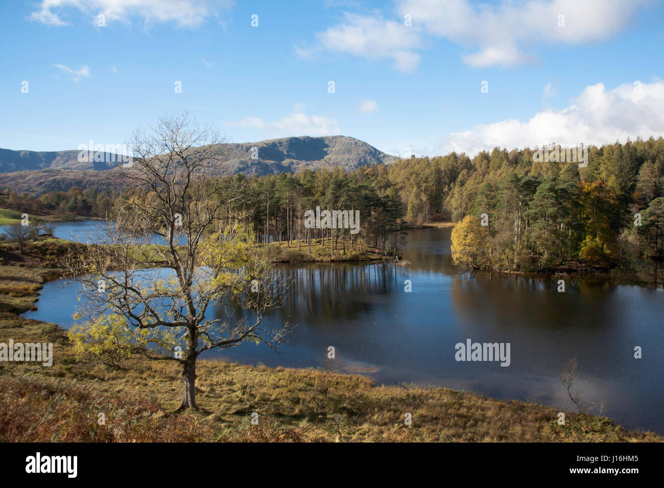 Die bewaldeten Ufer des Tarn Hows mit Wetherlam und The Old Man of Coniston im Hintergrund zwischen Coniston und Ambleside Seenplatte Cumbria Stockfoto