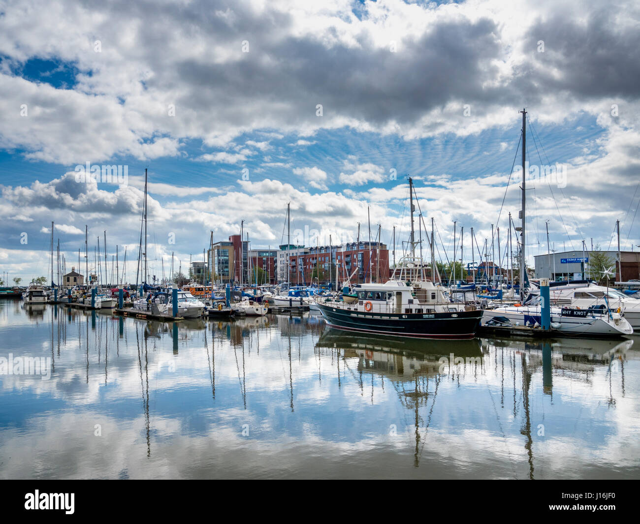 Hull Marina, Hull, UK. Stockfoto