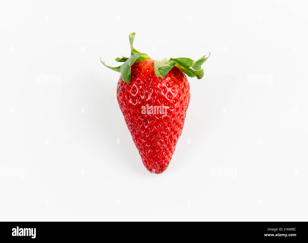 Frische leckere rote Erdbeeren isoliert auf weiss. Erdbeeren sind mit grünen Stängel und Blätter Stockfoto