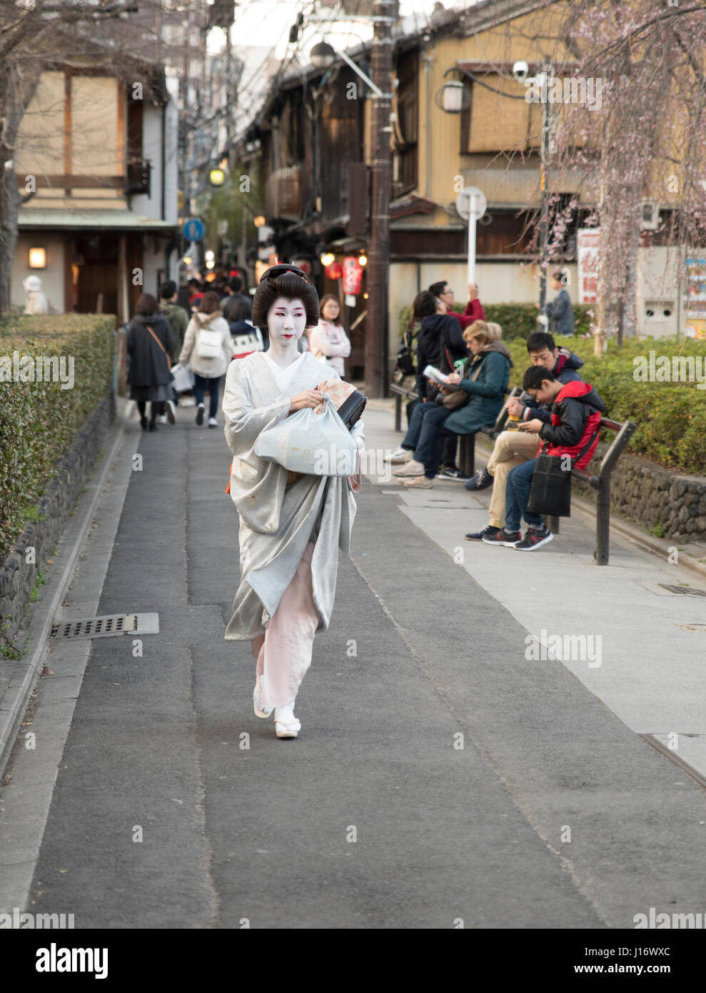 Geisha / Geiko Wandern entlang Ponto-Cho Straße in Higashiyama nr. Gion, Kyoto, Japan Stockfoto