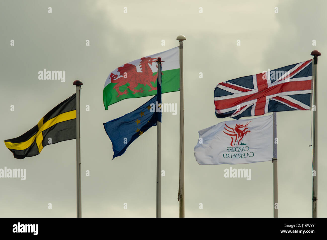 Fahnen an der Cardiff Bay, in der walisischen Hauptstadt. Flagge von Saint David, der Europäischen Union, Wales, Großbritannien und Cardiff im Wind wehen Stockfoto
