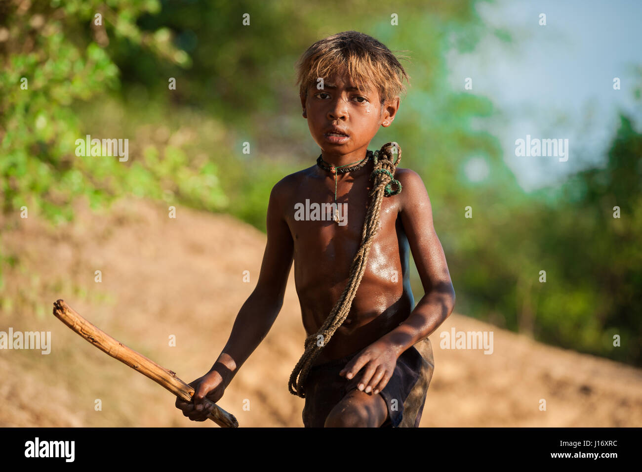 Ein Hirte für unverwechselbare buckelig Rinder Zebu, Madagaskar, in Ankavanda Stockfoto