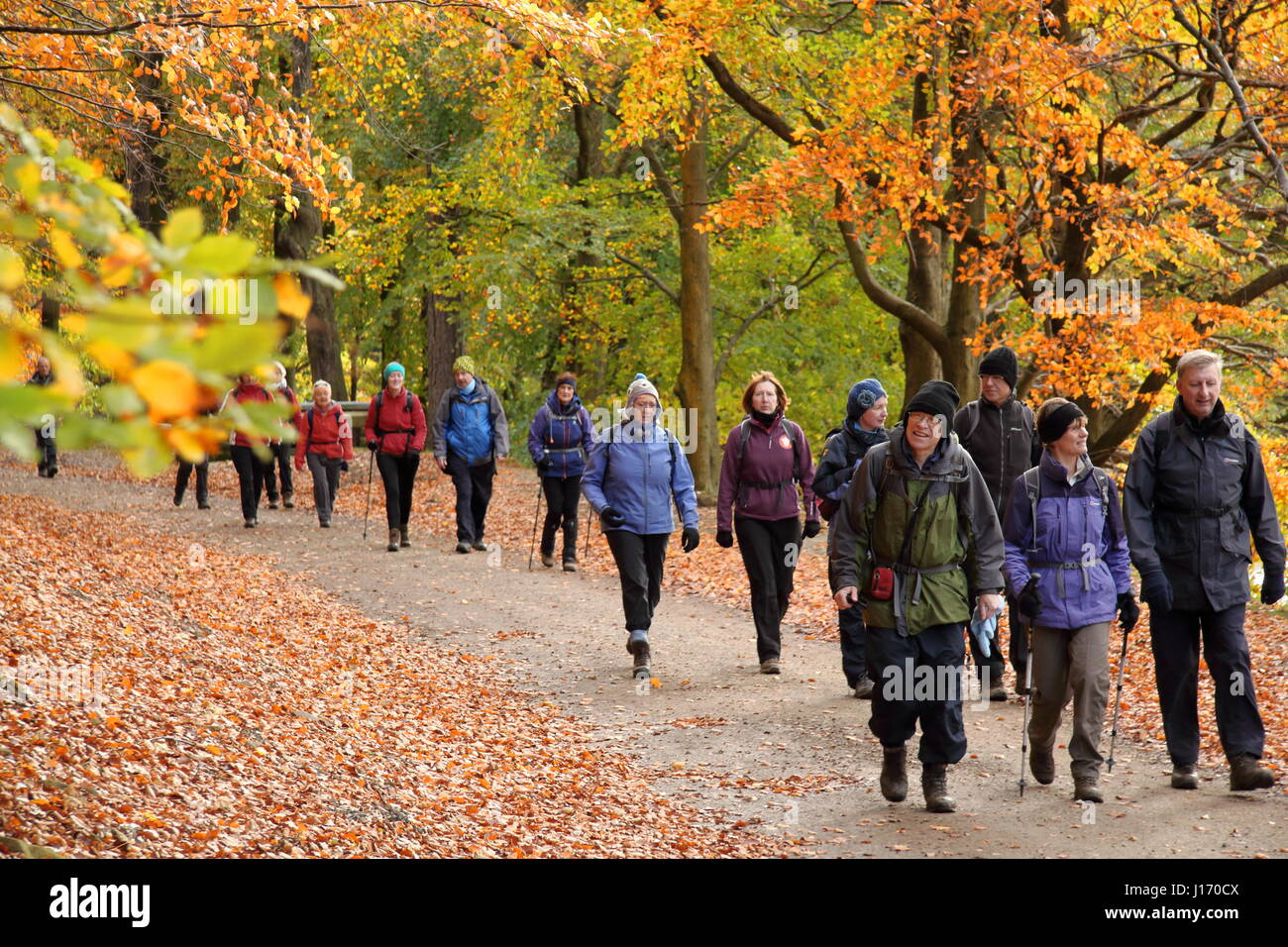 Wanderer auf einem dramatischen Wald Wanderweg auf der Rennstrecke Stauseen im malerischen Herbst oberen Derwent Valley Peak District Nationalpark Derbyshire UK Stockfoto