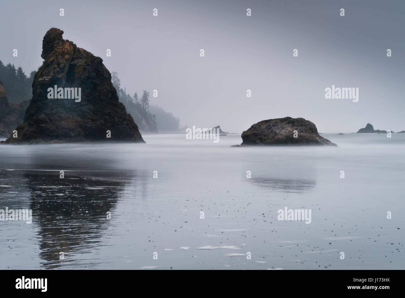 Inseln im Nebel in Ruby Beach, Olympic National Park Washington State, USA Stockfoto