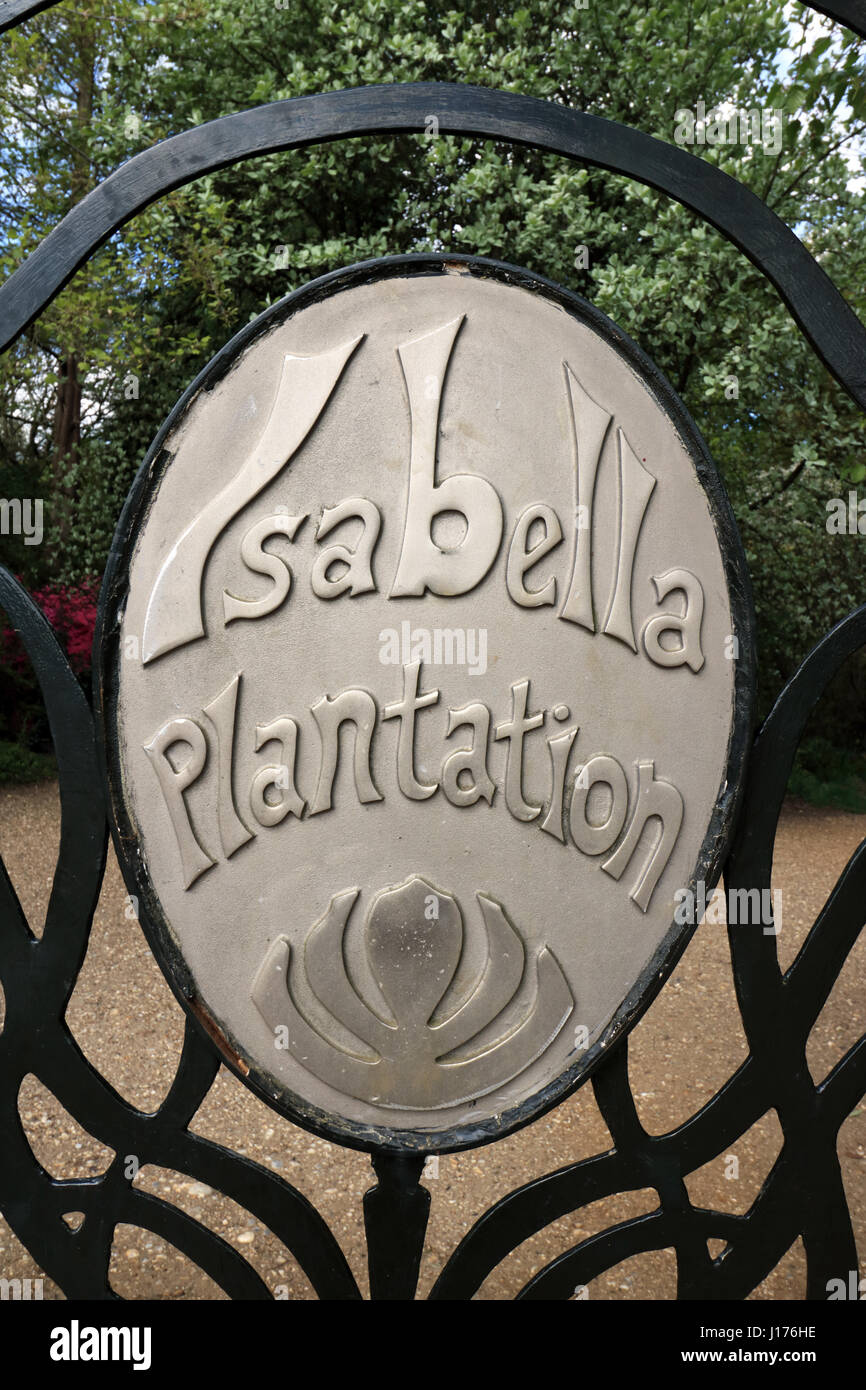 Isabella Plantation, Richmond Park, London. 18. April 2017. Viele schöne Blumen sind jetzt in voller Blüte zu Isabella Plantation in Richmond Park. Die Plantage ist kostenlos und nur einen kurzen Spaziergang vom Parkplatz Broomfield Hill im Royal Deer Park in Süd-west-London. Bildnachweis: Julia Gavin UK/Alamy Live-Nachrichten Stockfoto