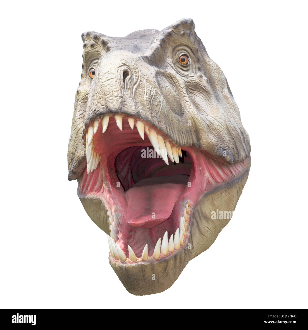 Furchterregende Fleischfresser Dinosaurier Tyrannosaurus Rex  Stockfotografie - Alamy