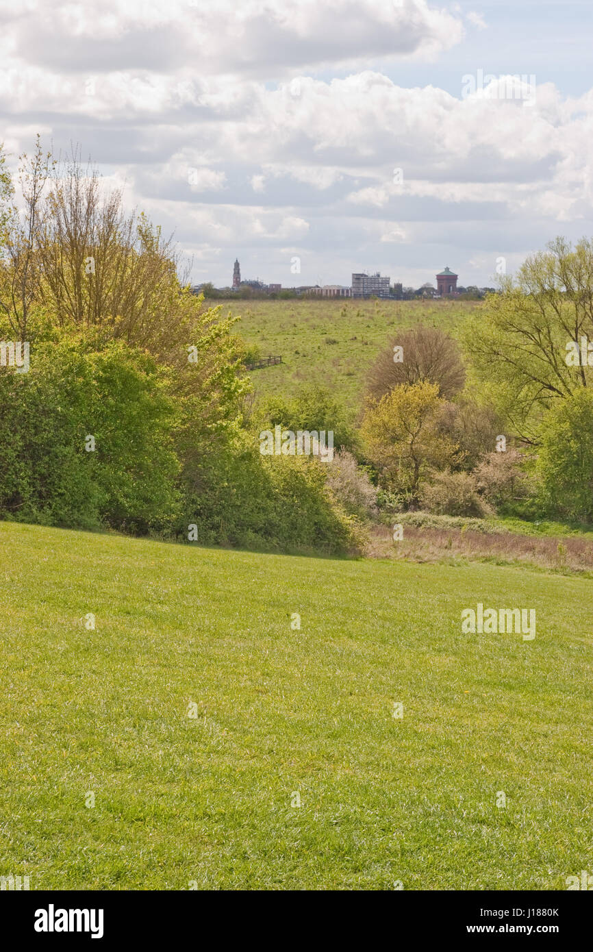 Colchester, Essex Stadtzentrum Skyline vom Highwoods Country Park gesehen Stockfoto