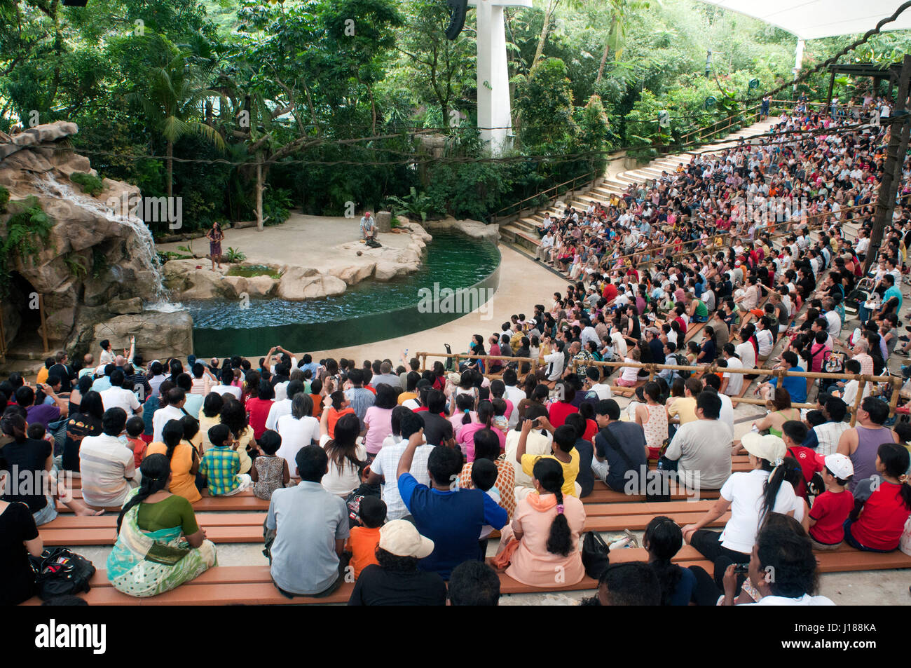 Sea Lion Show Singapur Zoo Singapur Stockfoto