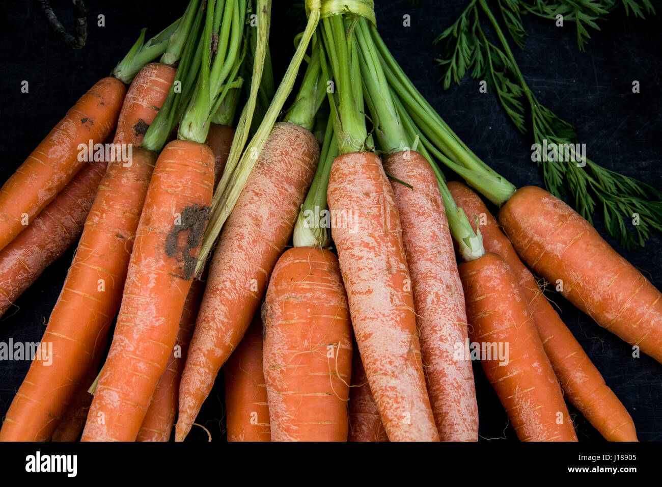 Ein paar nicht so frische Karotten. Stockfoto
