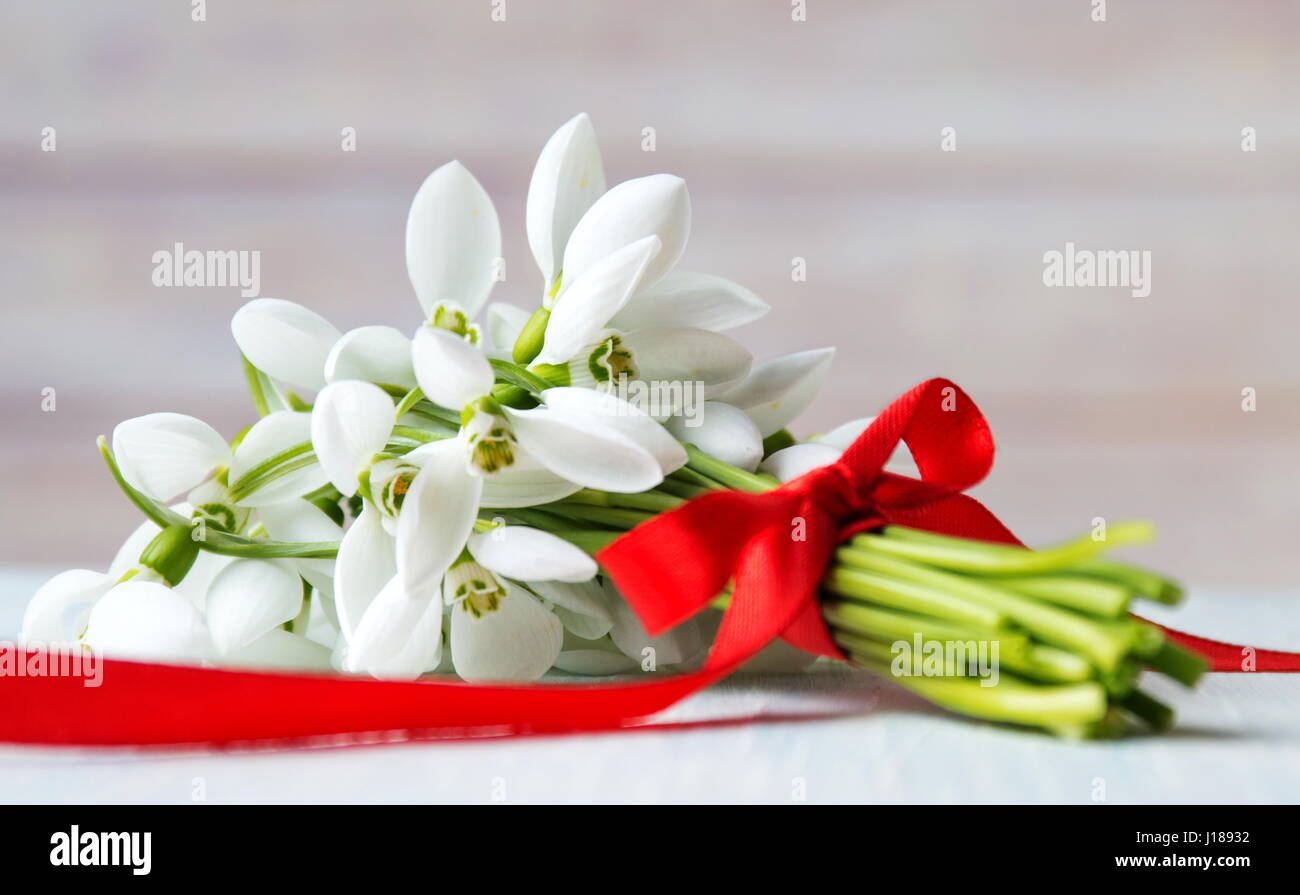 Frische Schneeglöckchen Strauß auf einem hölzernen Hintergrund Stockfoto