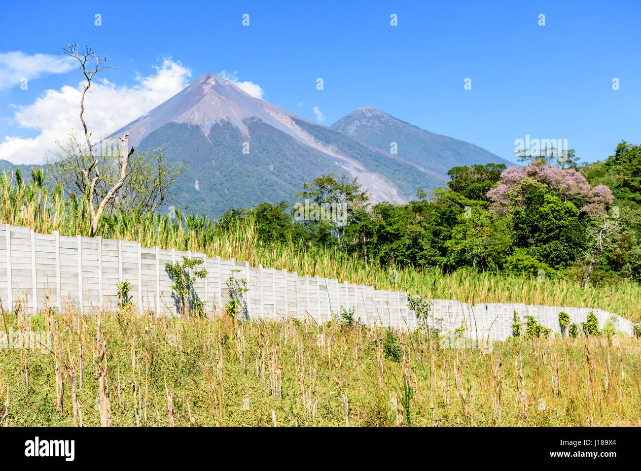 Fuego und Acatenango Vulkane, Escuintla, Guatemala, Mittelamerika Stockfoto