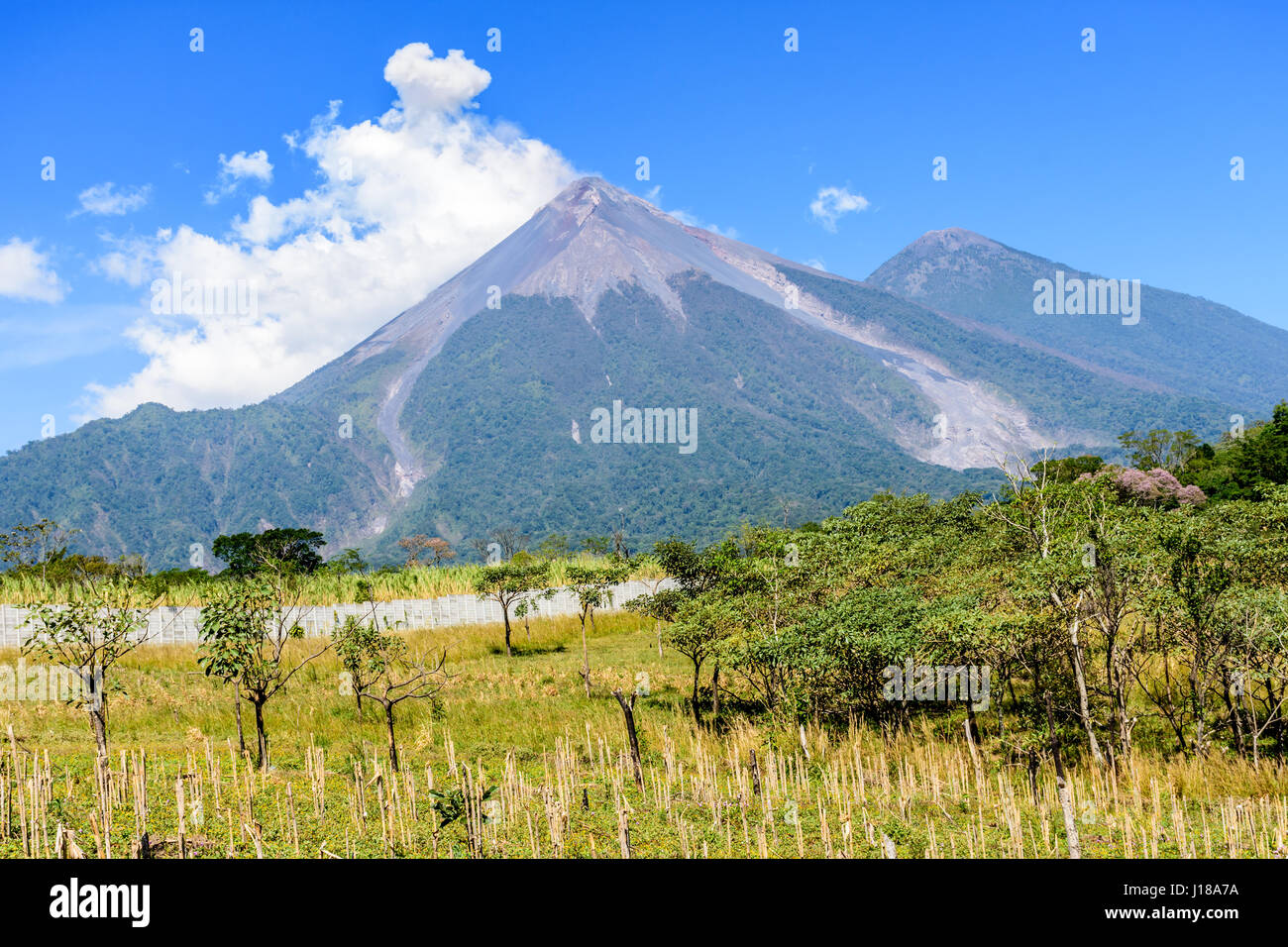 Fuego und Acatenango Vulkane, Escuintla, Guatemala, Mittelamerika Stockfoto