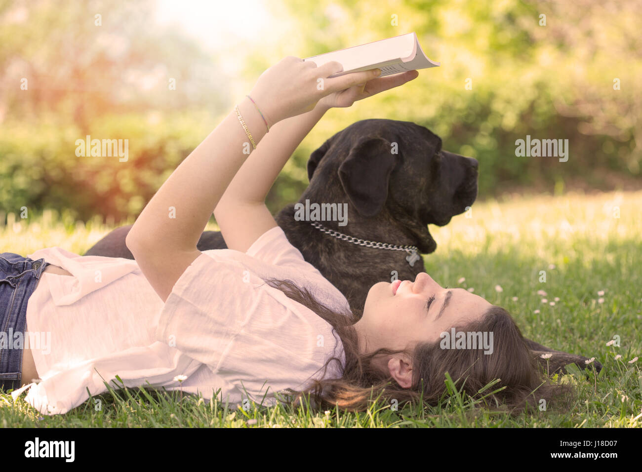 Junge Frau, die ein Buch mit ihrem Hund im park Stockfoto