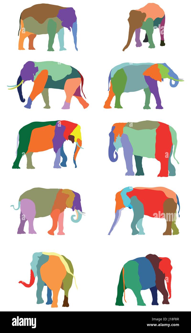 Satz von Vektor-bunte stehenden indischen und afrikanischen Elefanten auf weißem Hintergrund Stock Vektor