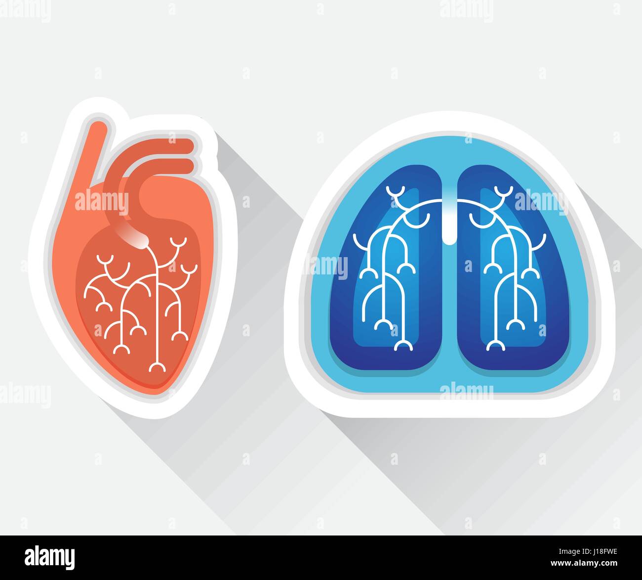 Menschliche Lunge und Herz flach illustration Stock Vektor