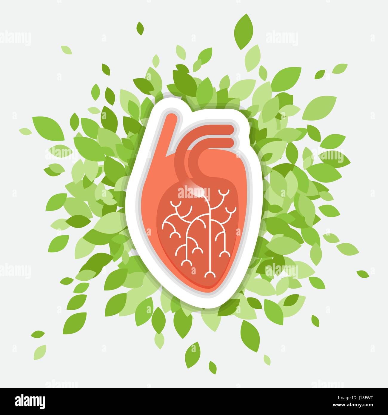 Flache Illustration - Menschenherz mit grünen Folliage, Konzept über Gesundheit und gesunde Umwelt Stock Vektor