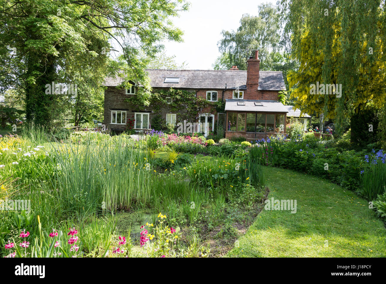 Westonbury Mühle Wassergarten am Pembridge in Herefordshire, England. Stockfoto