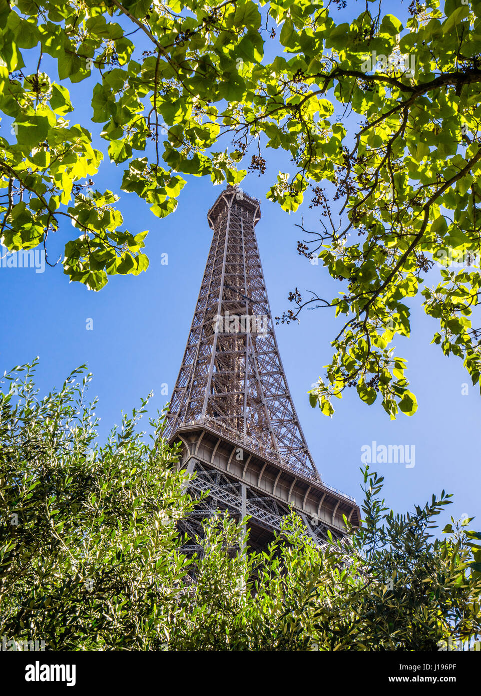 Frankreich, Paris, Maulwurf Blick auf den Eiffelturm Stockfoto