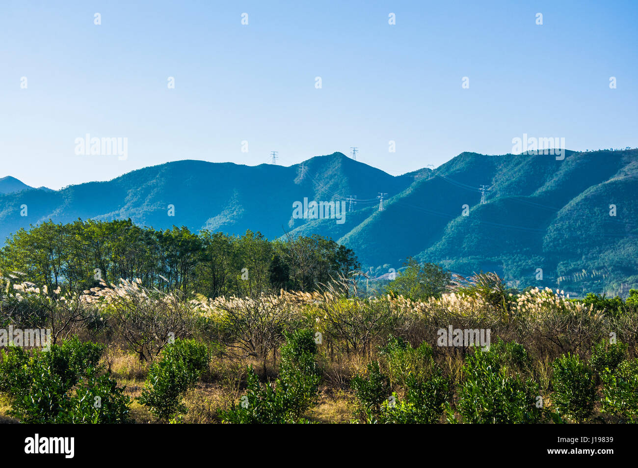 Wunderschöne Berge und Landschaft im Sommer Stockfoto