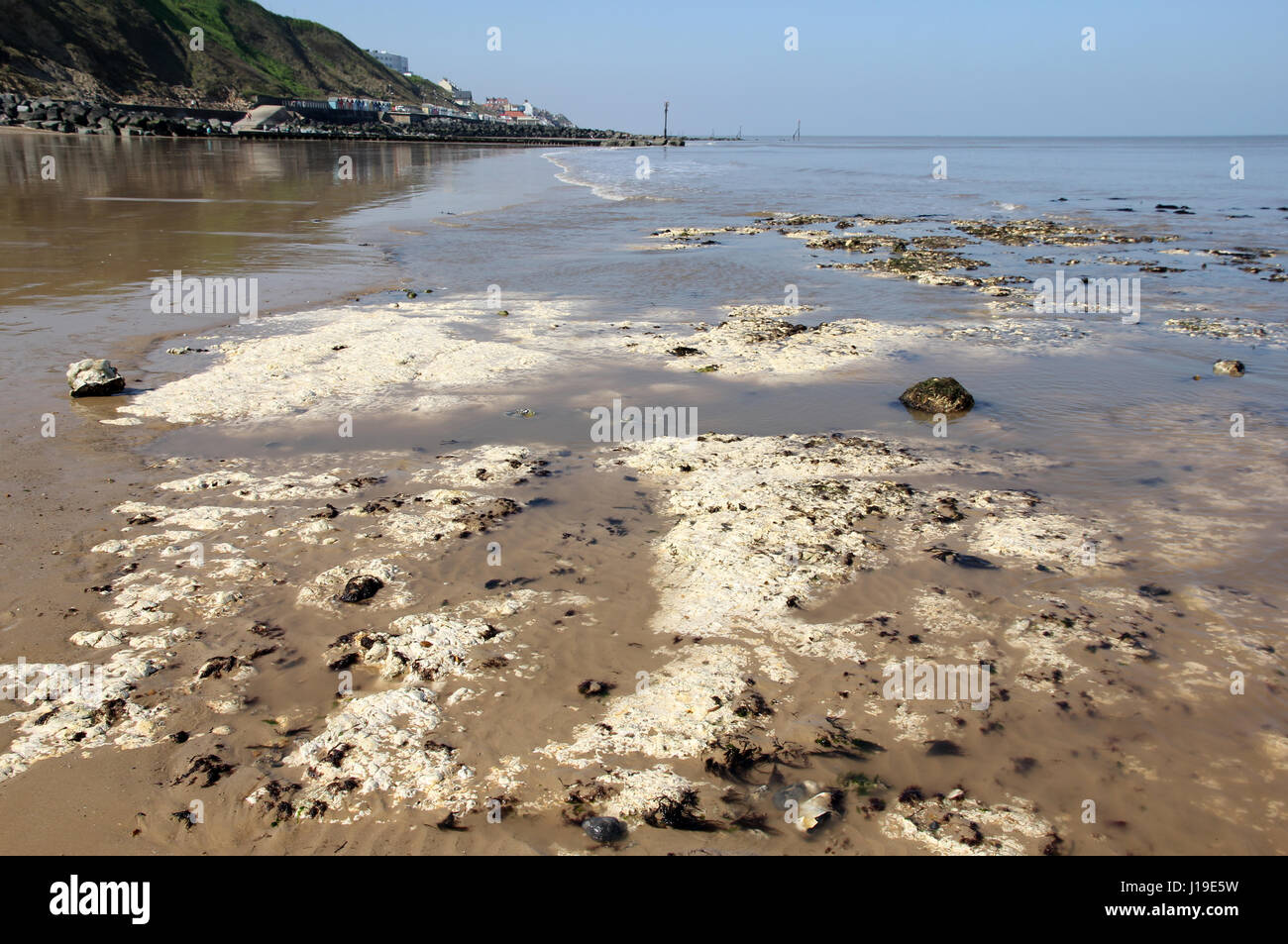 Felsen am Strand von Sheringham Stockfoto