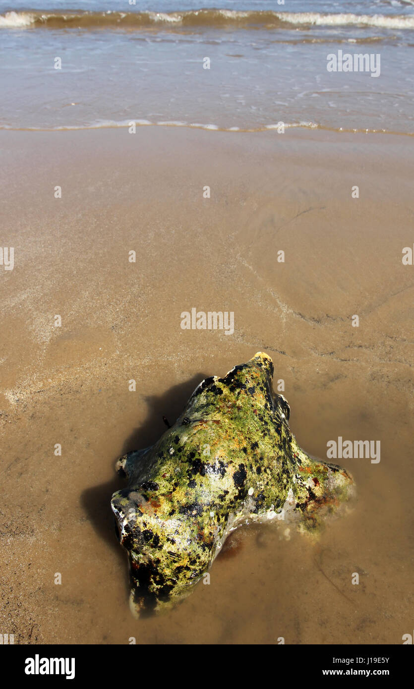 Felsen am Strand von Sheringham Stockfoto