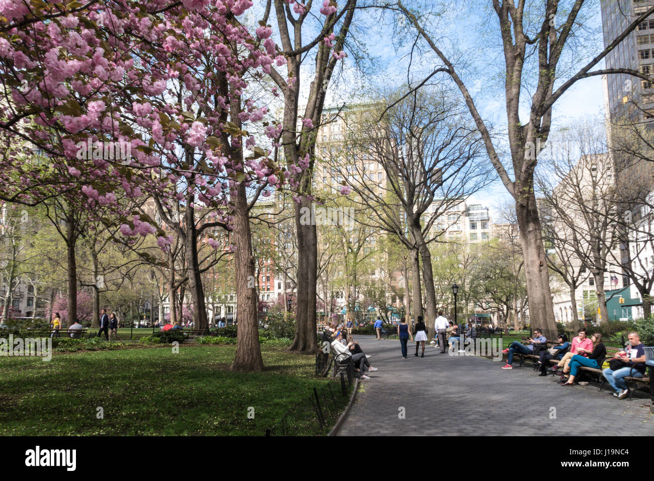 Madison Square Park im Frühling, NYC, USA Stockfoto