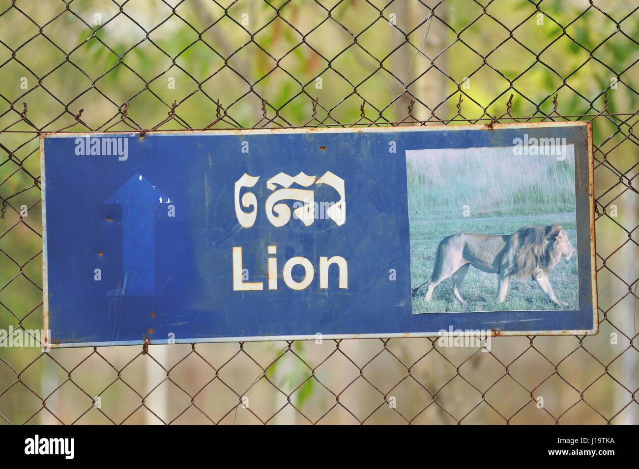 Alte verwitterte Zweisprachige "Lion" Schild, Phnom Tamao Wildlife Rescue Center, Provinz Takeo, Kambodscha. Credit: Kraig Lieb Stockfoto