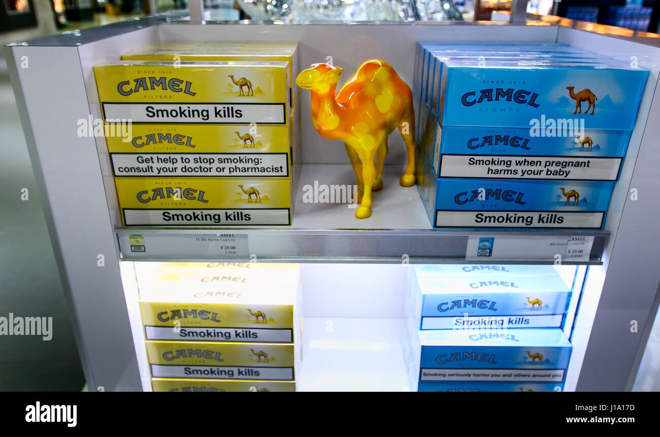 Купить Сигареты Camel Без Фильтра