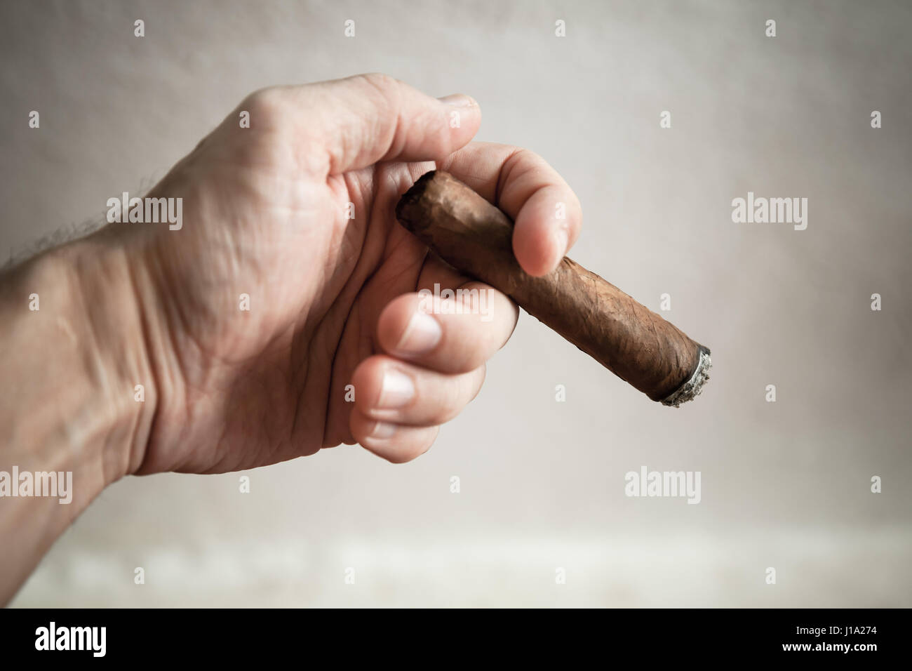 Dominikanische handgemachte Zigarre in männlicher Hand, Nahaufnahme Foto mit selektiven Fokus über weiße Wand Hintergrund Stockfoto