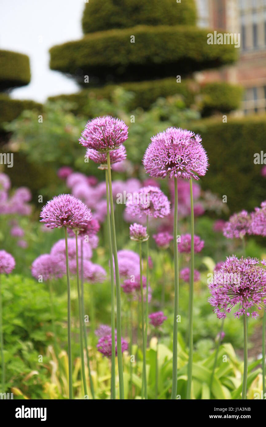 Hatfield House, Hertfordshire, UK Stockfoto